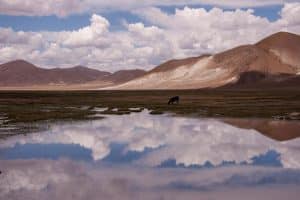 Altiplanolandschaft