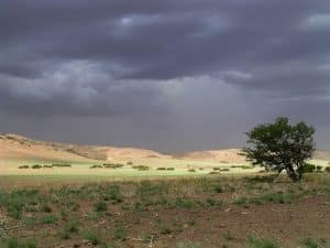 Regenwolken über der Wüste