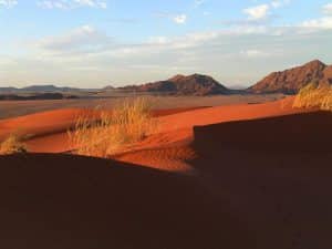 Namiblandschaft