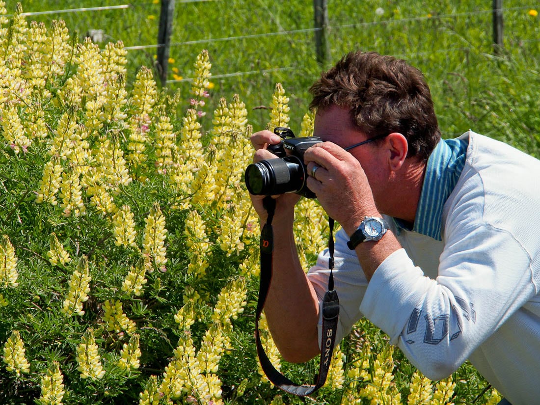Patagonianflowers with Jon