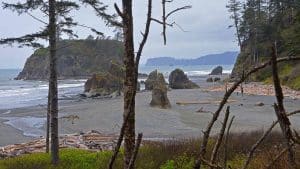 Washington_0014_RubyBeach