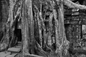 Angkor Watt 5