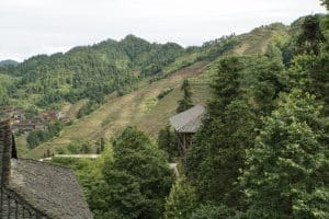 Reisfelder in der Provinz Guizhou