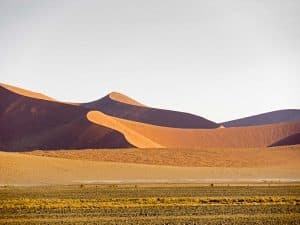 Bei den Dünen in der Namib