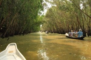 Mangrovenwald Tra Su im Mekongdelta