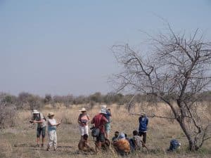 Bei Tsumkwe im Bushmanland Namibias
