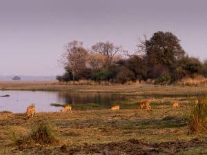 Mudumu und Buffalo Core am Okavango
