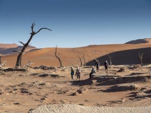Ein Morgen in der Namib