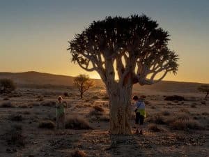 Im Namib Naukluft Park