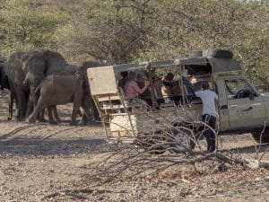 Zu Besuch bei den Wüstenelefanten