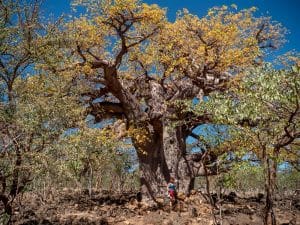 Ursula beim Baobab