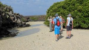 Aschi Widmers Galapagos Spezial 2021