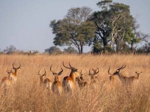 Mudumu Nationalpark