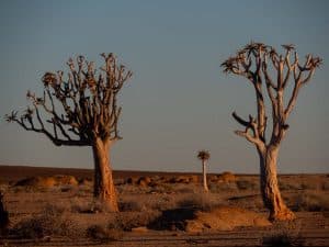 Namib Naukluft Camp Anouk