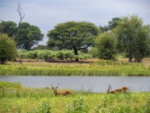 Mudumu Nationalpark, Babwata Aerea